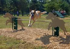 Backyard Play Equipment