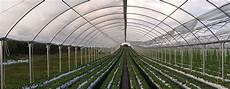 Commercial Shade Structures