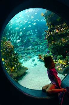 Home Playground
