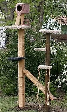 Playground House