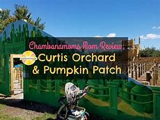 Pumpkin Patch Playground