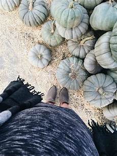 Pumpkin Patch Playground