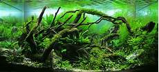 School Landscape Ideas