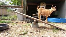 Seesaw Playground Equipment