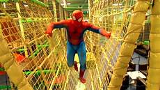 Spider Web Playground
