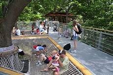Squirrel Playground