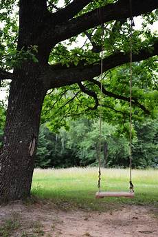 Swing And Slide Set
