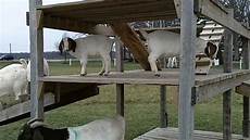 Wooden Play Structures