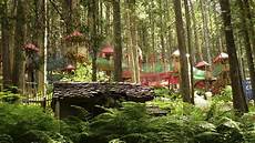 Woodland Playground